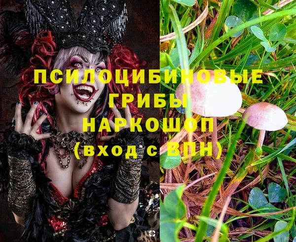 бутират Алзамай