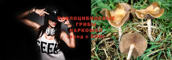 бутират Алзамай