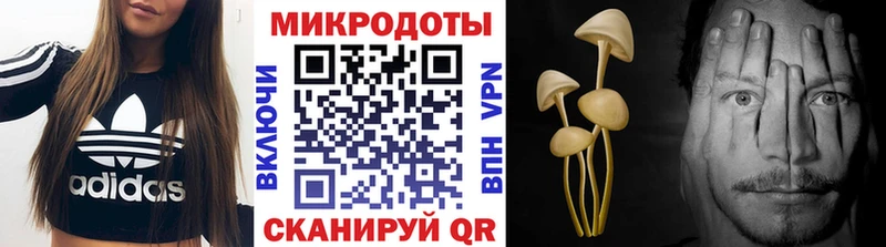 Галлюциногенные грибы прущие грибы  Алапаевск 